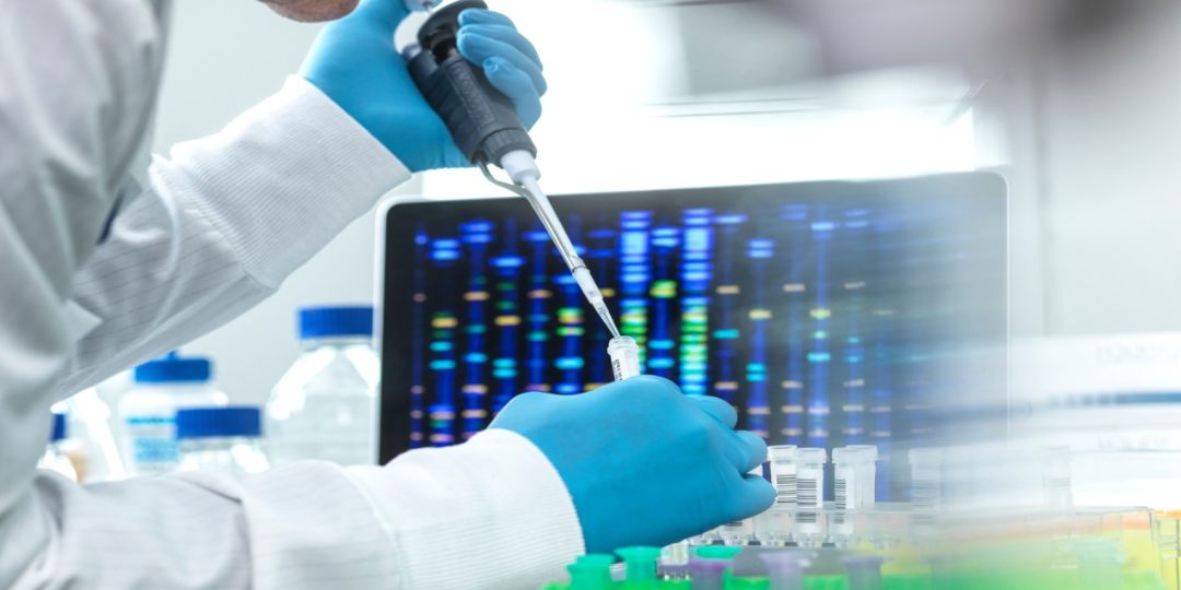 Identificação Molecular de fungos e bactérias: o poder do Sequenciamento Sanger 